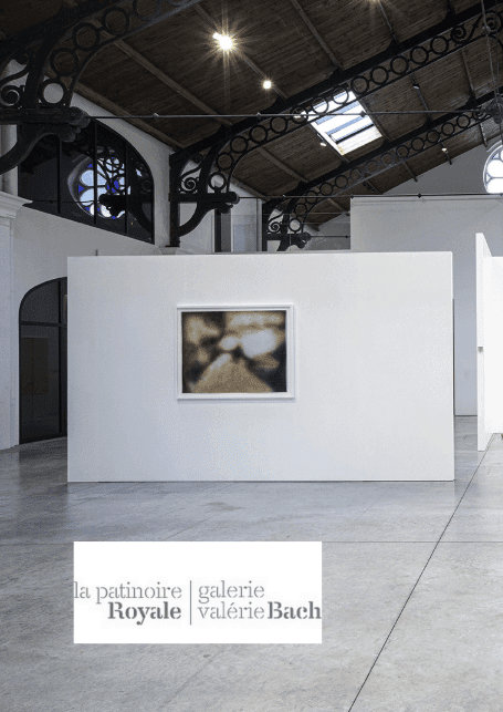 Le partenaire Galerie la Patinoire Royale Back